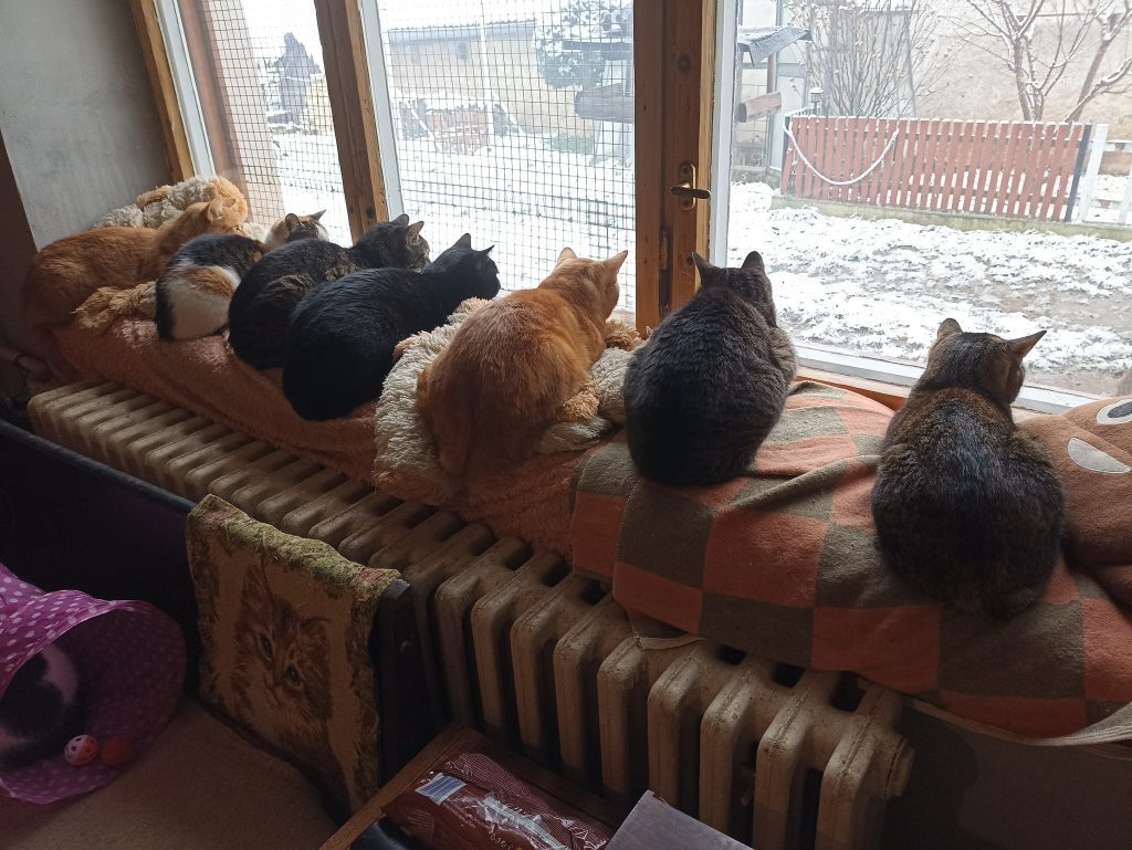 476633628 122161124090318085 668458942245601497 n